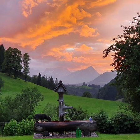 Biobauernhof Schoettelbauer Rosenau am Hengstpass Exterior foto